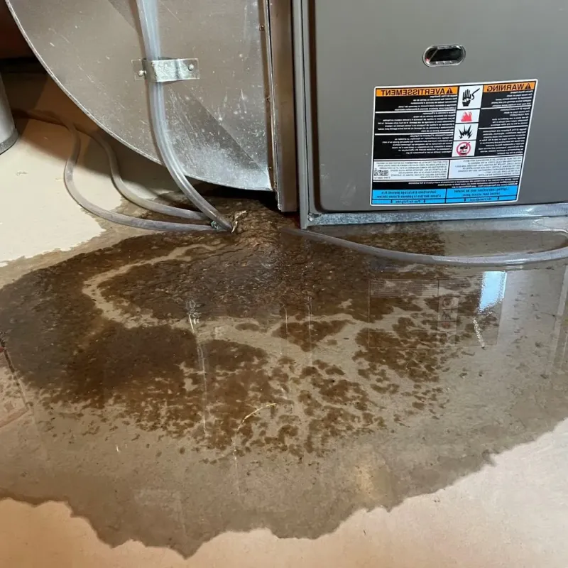 Pipe Burst and Leak Restoration in Sophia, WV