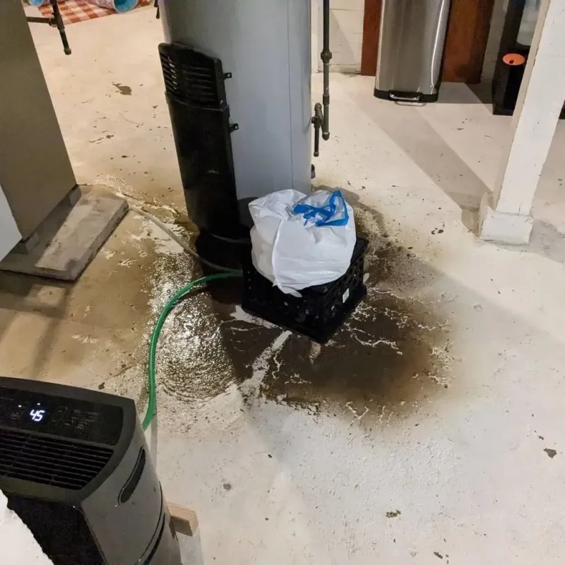 Sewage Backup Cleanup Service in Sophia, WV
